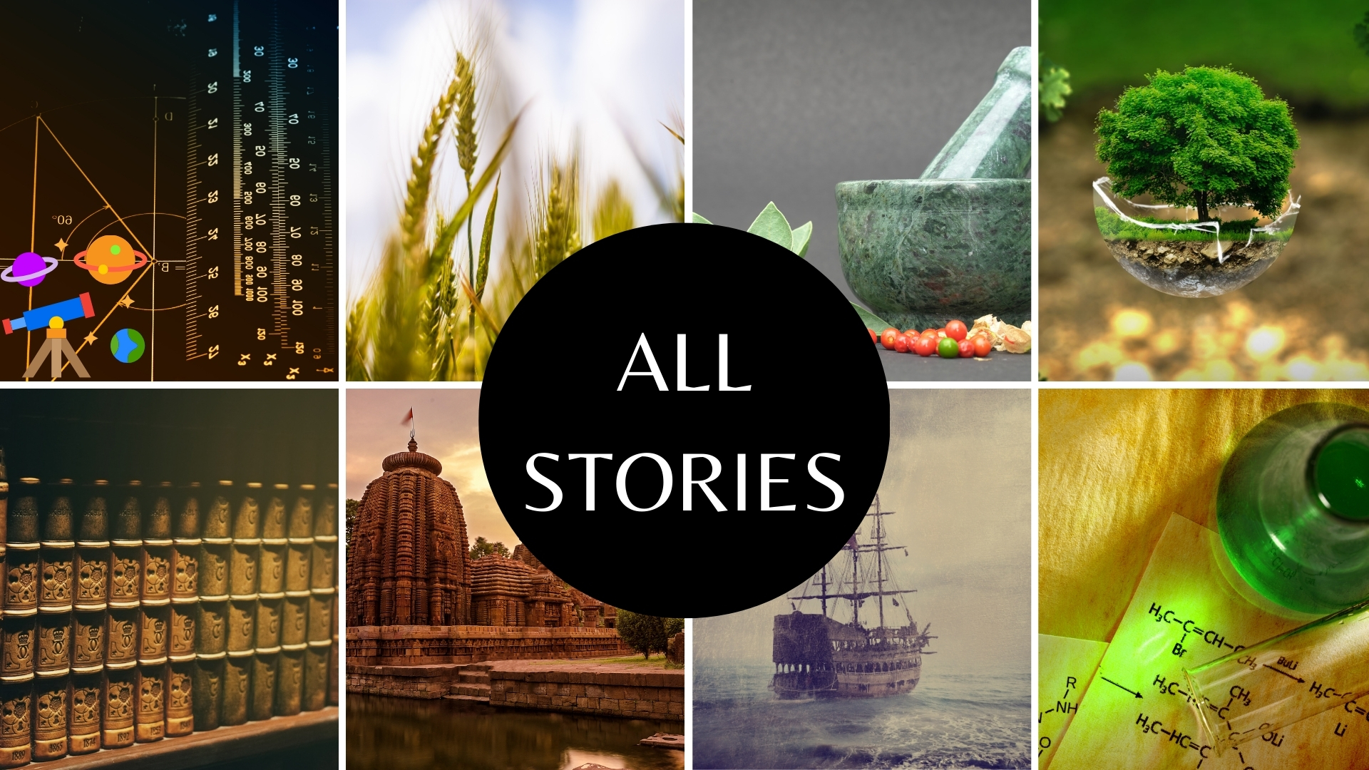 All Stories