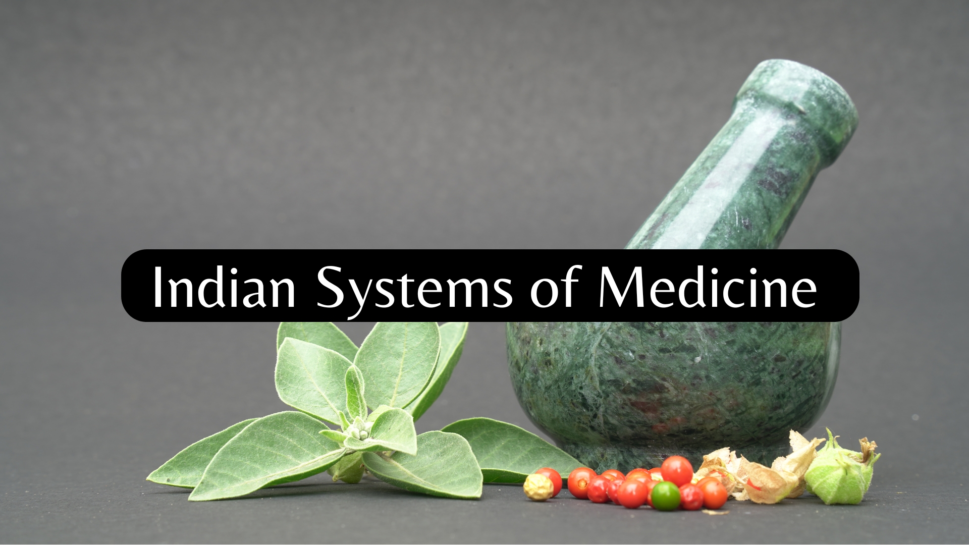 Indian Systems of Medicine