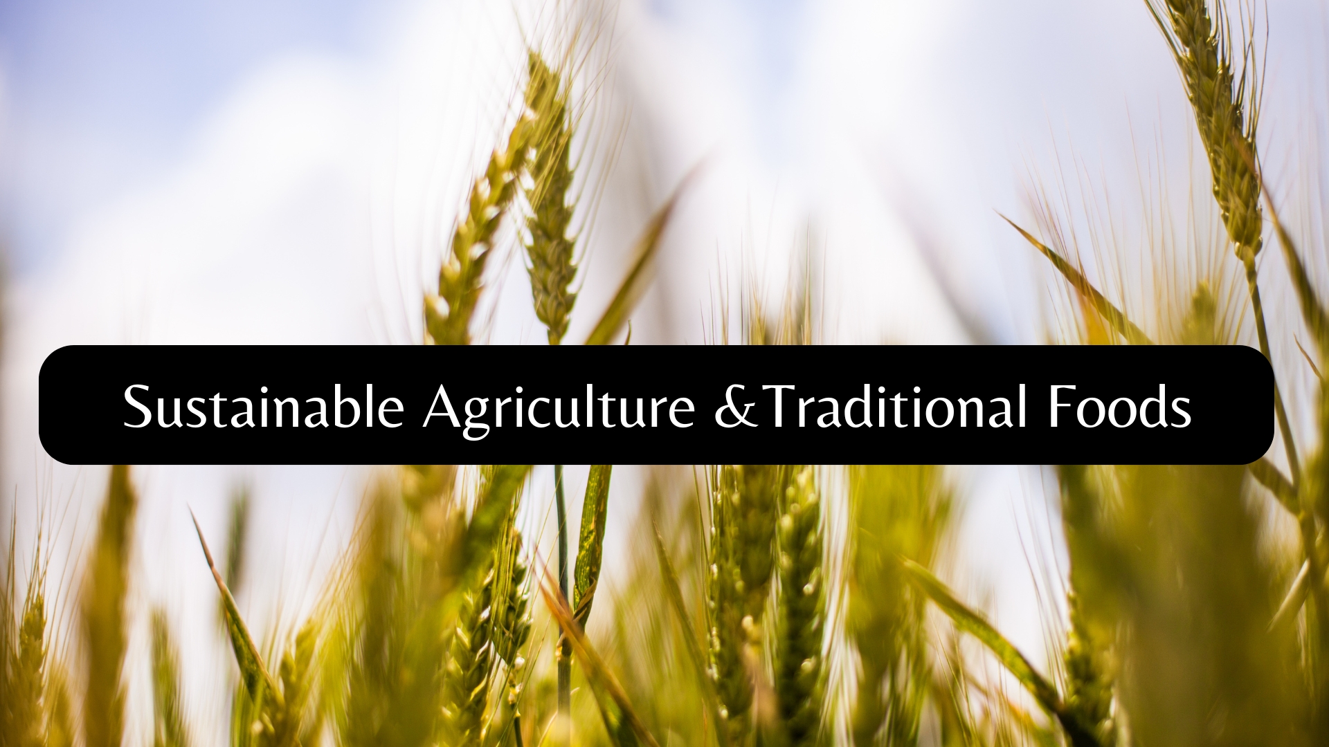Sustainable Agriculture & Traditional Foods