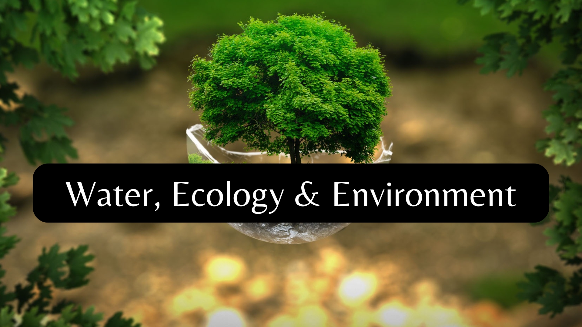 Water, Ecology & Environment
