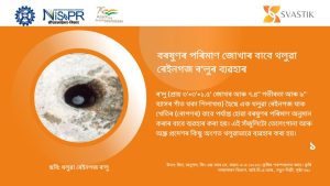ৰ’লু