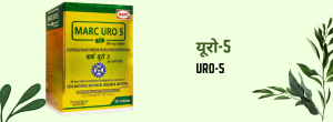 Ayurveda (Hindi)