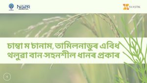 চাম্বা ম’চানাম