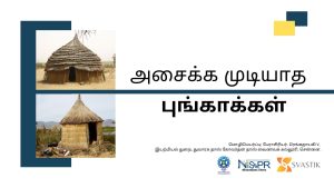 அசைக்க முடியாத புங்காக்கள்