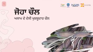 ਜੋਹਾ ਚੌਲ