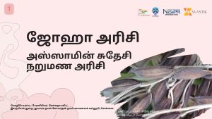 ஜோஹா அரிசி