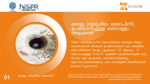 രോളു
