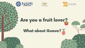 Guava