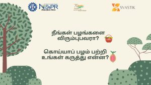 கொய்யா