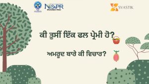 ਅਮਰੂਦ