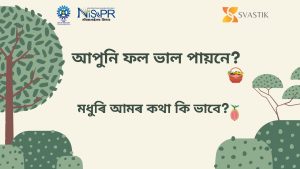মধুৰি আম