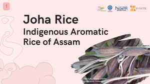 Joha Rice