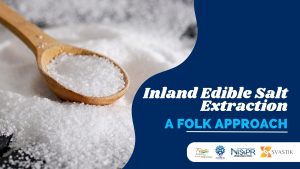Inland Edible Salt Extraction