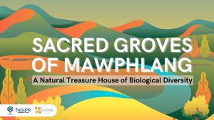 Sacred Groves of Mawphlang