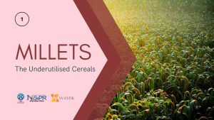 Millets