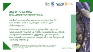 കുണാപജല