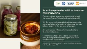 Fermentation
