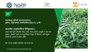 सिम-मेघ सीमैप