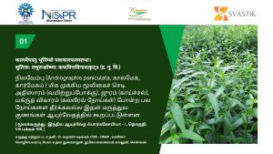 சிஐஎம்-மேக் சிஐஎம்ஏபி