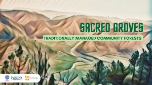 Sacred Groves