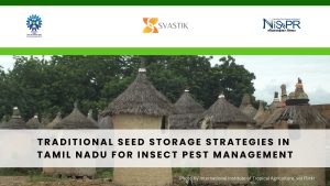 Traditional seed storage methods in Tamil Nadu