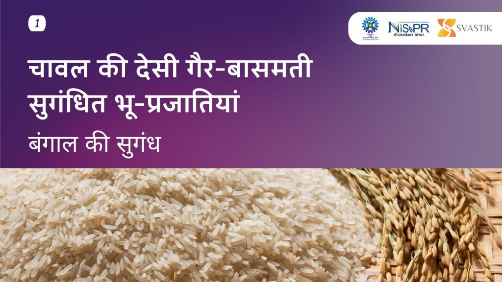 चावल की देसी गैर-बासमती सुगंधित भू-प्रजातियां- बंगाल की सुगंध