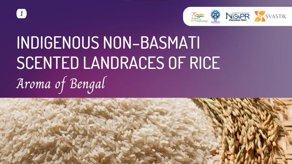 Aromatic Rice of Bengal