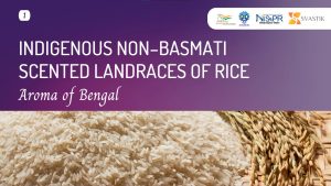 Aromatic Rice of Bengal