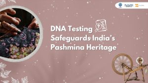 DNA Testing Safeguards Indias Pashmina Heritage