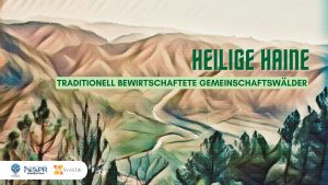 Heilige Haine