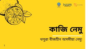 কাজী নেমু