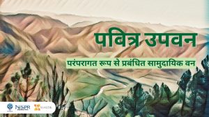 पवित्र उपवन
